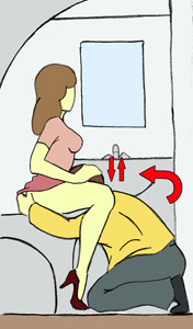 Imagen de la Airplane Sex Guide