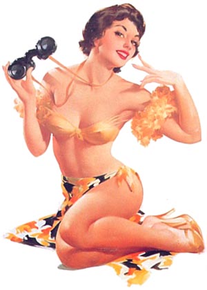 Pin-Up de Ted Withers